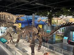 -国家自然博物馆