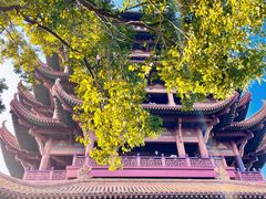 -黄鹤楼公园(黄鹤楼)