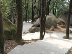 -火炉山森林公园