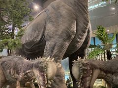 -湖南省地质博物馆