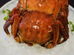 -上海外滩茂悦大酒店