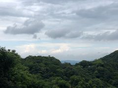 -广州市帽峰山景区