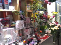 -谷莠子花艺·气球派对·绿植造景·花艺沙龙(金光华广场店)