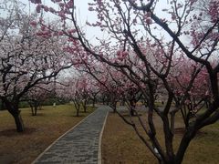 -北京明城墙遗址公园