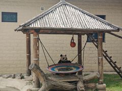 -石家庄市动物园