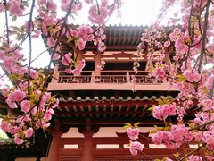 -西安青龙寺遗址景区