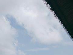 -亚龙湾国际玫瑰谷