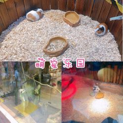 -宝燕乐园(闵行旗舰店)