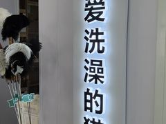 -爱洗澡的猫(望京店)