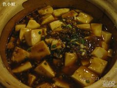 麻婆豆腐褒-新发记港式茶餐厅(黄浦店)