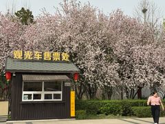 -洛阳市隋唐城遗址植物园