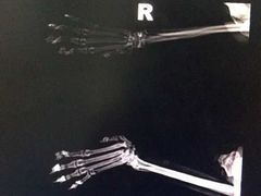 -北京派仕佳德动物医院·超导核磁·CT·神经科·骨科·内外科·急重症管理中心