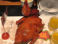 -大鸽饭(北京路店)