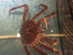 -蟹之国·精品蟹料理(极地店)