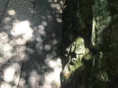 -普陀山风景区-佛顶山