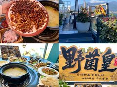 -野菌皇海景野生菌火锅(滨海大道店)