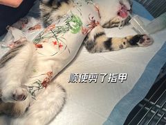 -良伴无忧宠物医院(泰欣嘉园店)