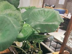 -新辣道鱼火锅(上地华联店)