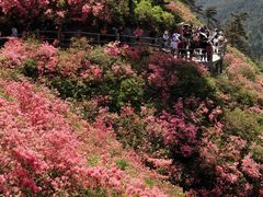 -木兰云雾山