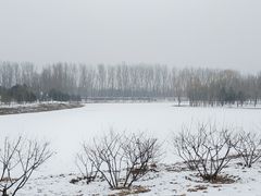 -东郊湿地公园