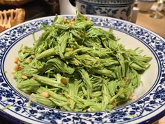 -鲁菜根·泰山菜(泰山店)