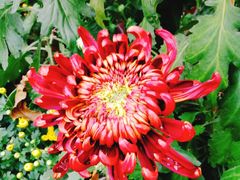 -上海市龙华烈士陵园