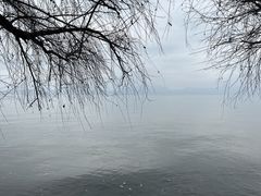 -捞渔河湿地公园