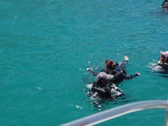 -鑫艋游艇海钓俱乐部