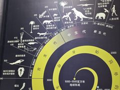-中国西峡恐龙遗迹园