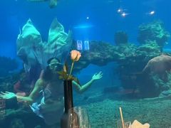 -OSSIANO奥西亚诺海底餐厅