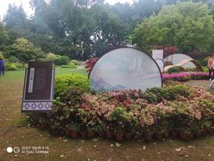 -上海醉白池公园
