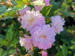 -长兴太湖图影湿地文化园