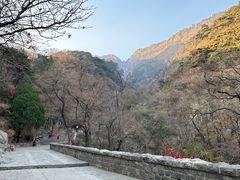 -泰山风景名胜区