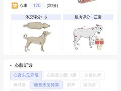 -悦宠凯宝动物医院·牙科·皮肤科(朝阳北路店)