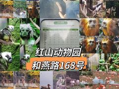 -红山森林动物园