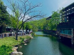 -洛阳白云山景区