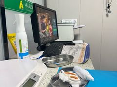 -半岛宠物医院24小时(科华中路店)