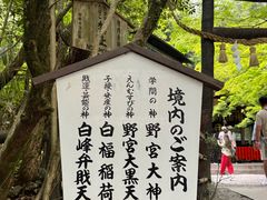 -野宫神社