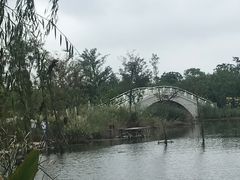 -上海长兴岛郊野公园