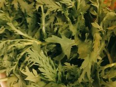 -山城年华老火锅(玉林店)
