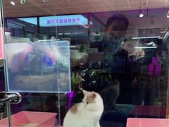 -FAELING PETS美天灵宠物(富力广场店)