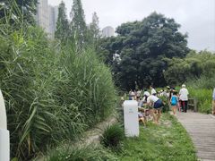 -成都市活水公园