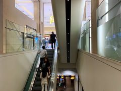 -新世界百货(明洞总店)