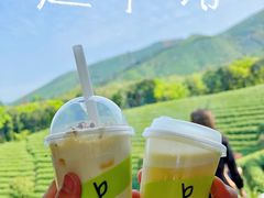 -白茶原·一片叶子