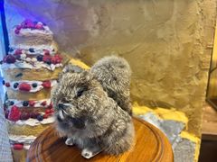 -乡田小墅(展览馆路JK FUN商城店)