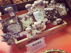 -大头椰·椰子鸡火锅(南宁万象城店)