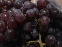 -百果园PAGODA(应元路店)