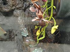 -中国湿地博物馆