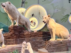 -陕西自然博物馆