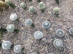 -南山植物园
